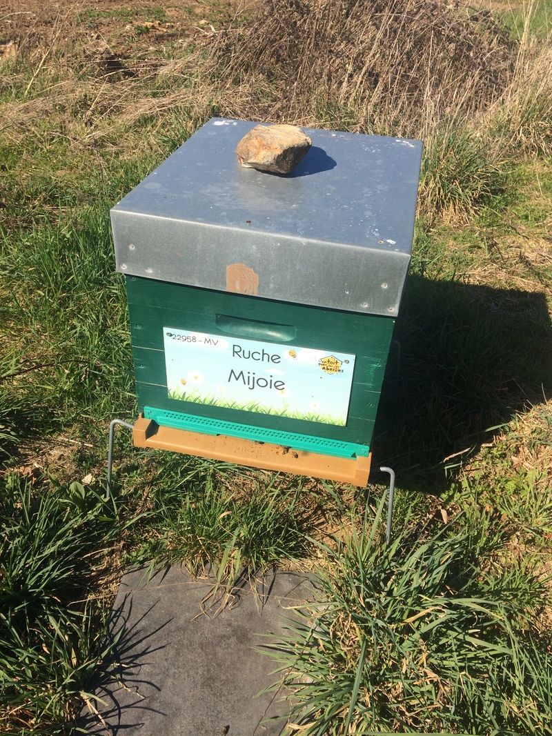 La ruche Mijoie