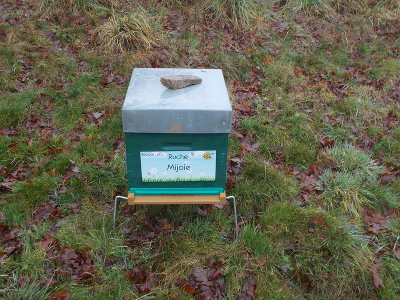 La ruche Mijoie