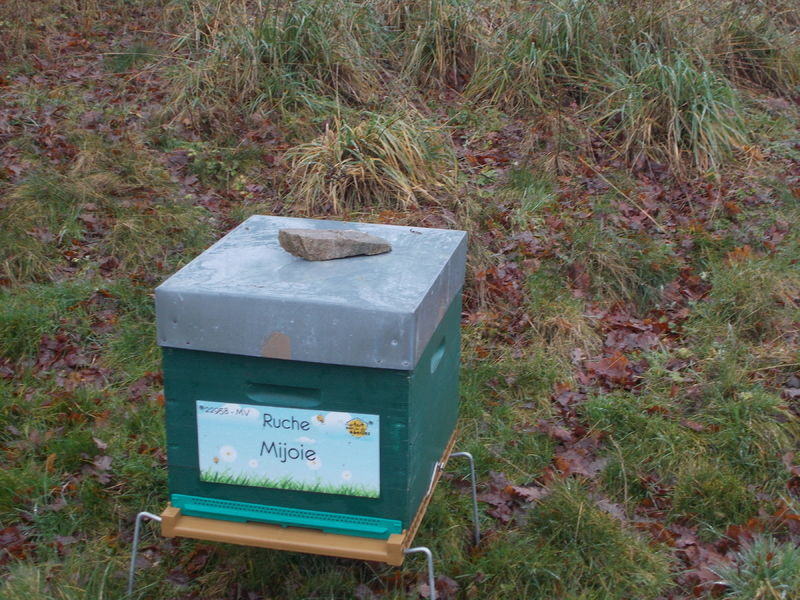 La ruche Mijoie