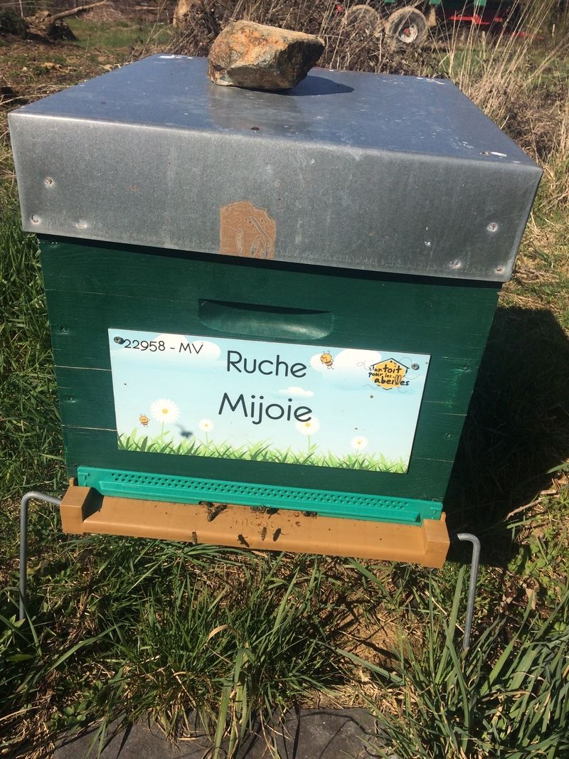La ruche Mijoie