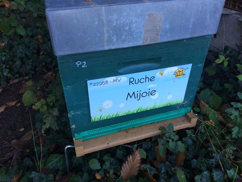 La ruche Mijoie