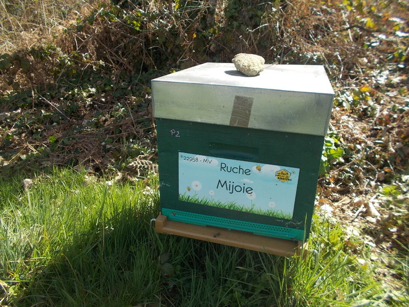 La ruche Mijoie