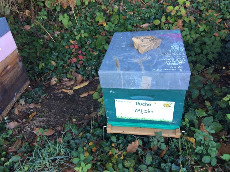 La ruche Mijoie