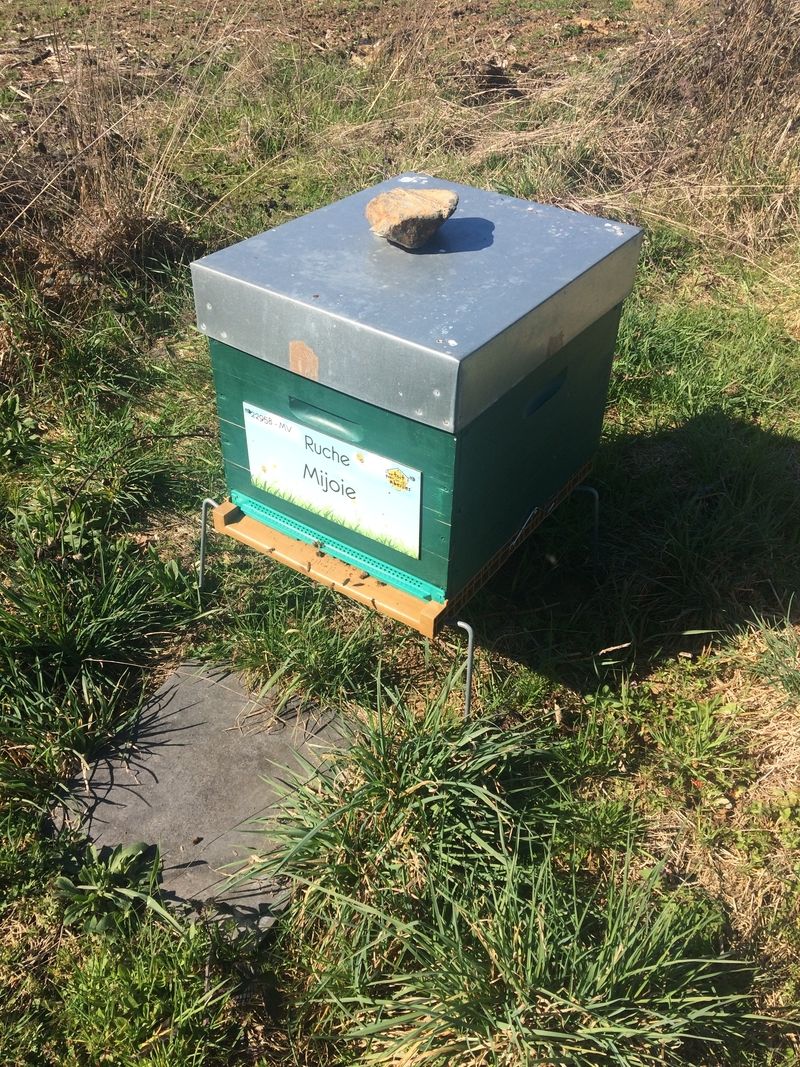 La ruche Mijoie