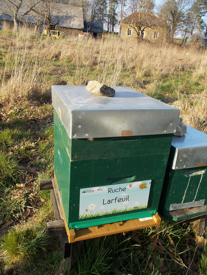 La ruche Larfeuil