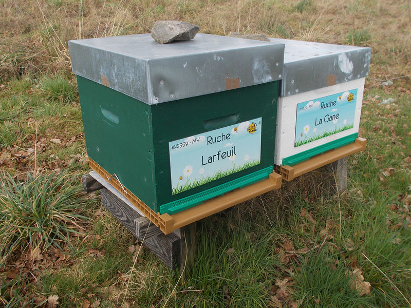 La ruche Larfeuil