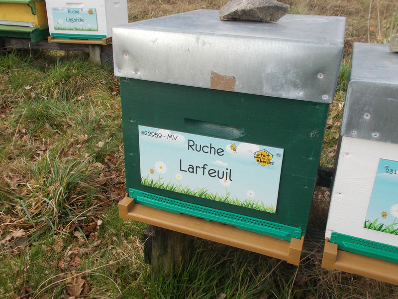 La ruche Larfeuil