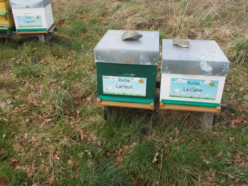 La ruche Larfeuil