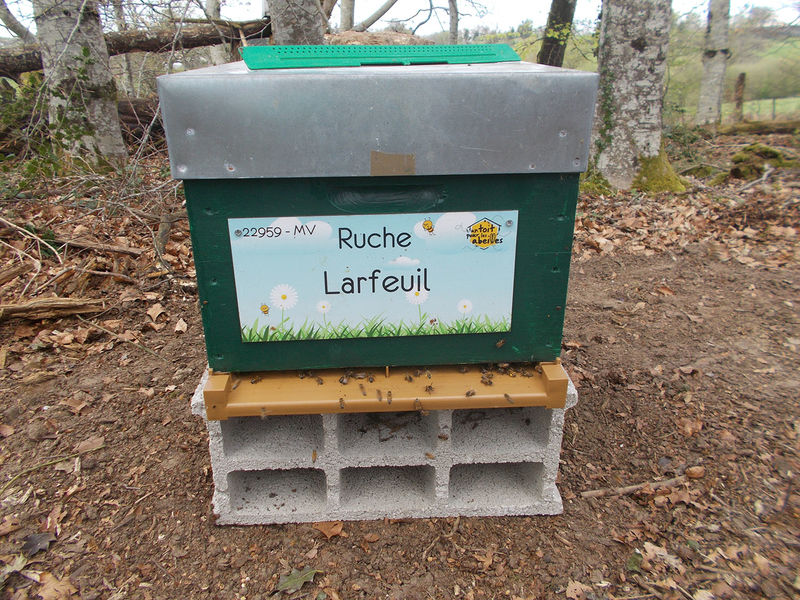 La ruche Larfeuil