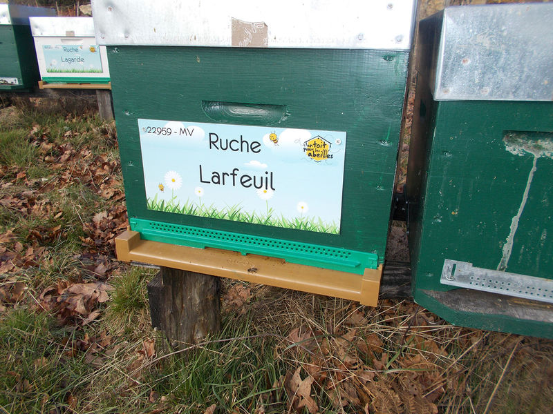 La ruche Larfeuil