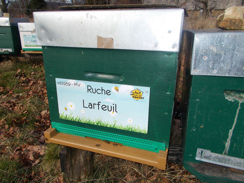 La ruche Larfeuil