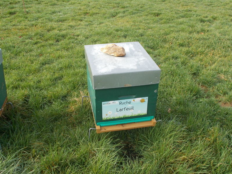 La ruche Larfeuil