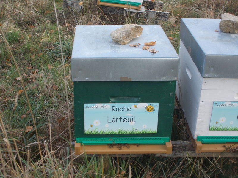 La ruche Larfeuil