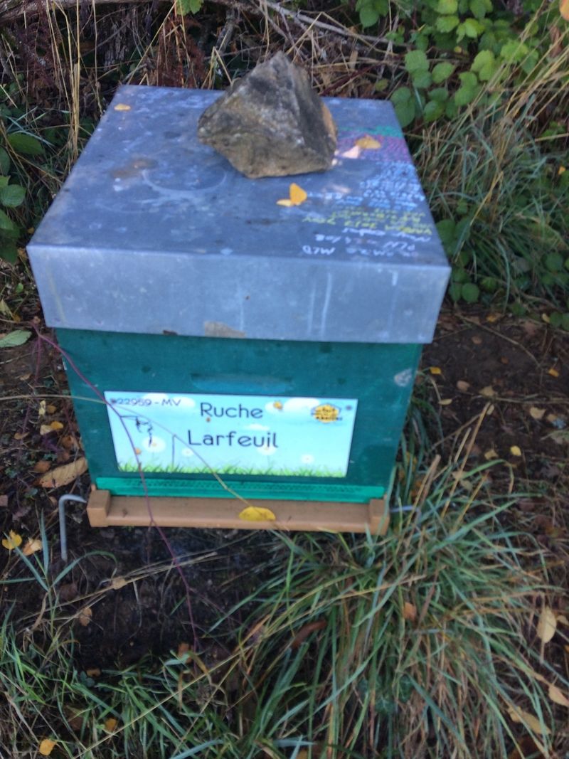 La ruche Larfeuil