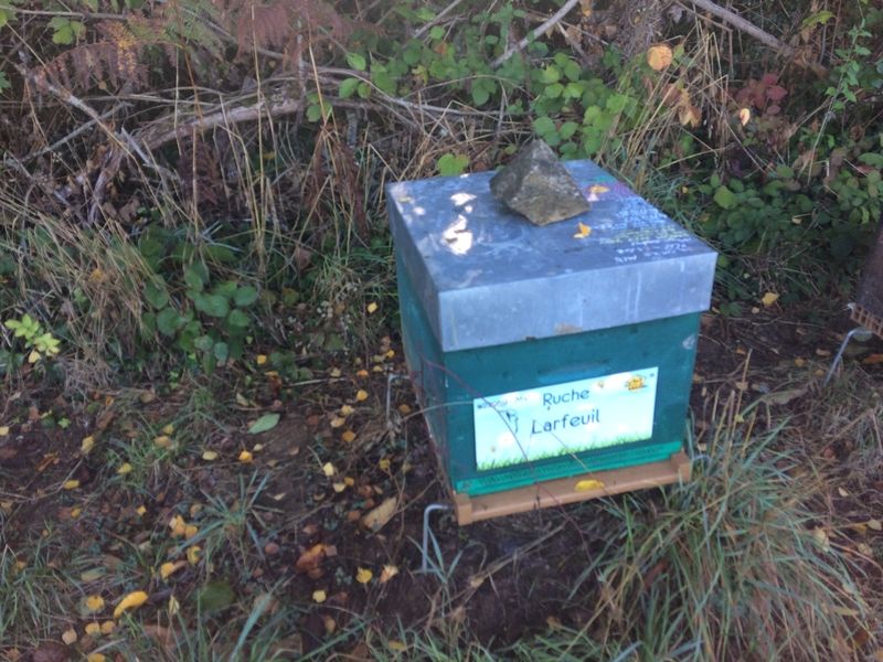 La ruche Larfeuil