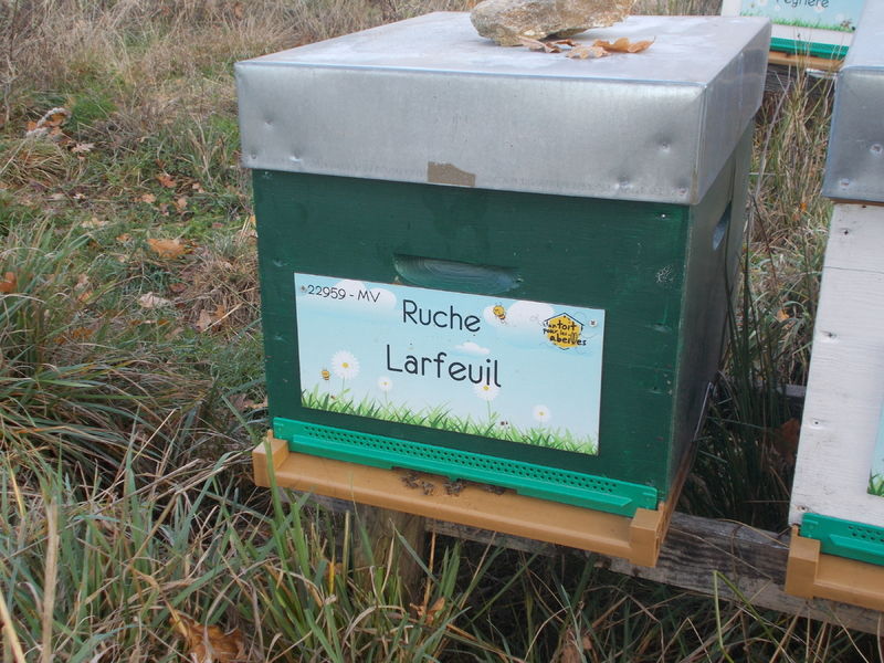 La ruche Larfeuil