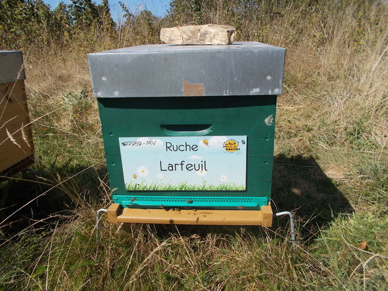 La ruche Larfeuil