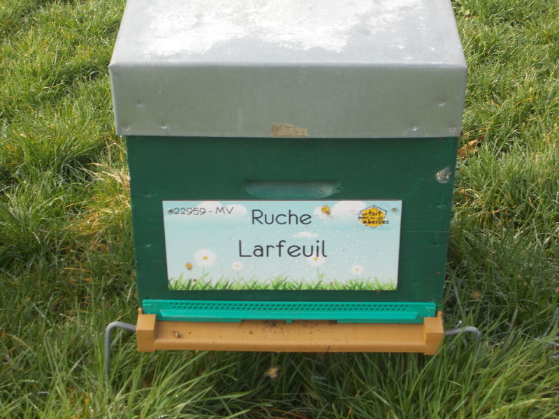 La ruche Larfeuil