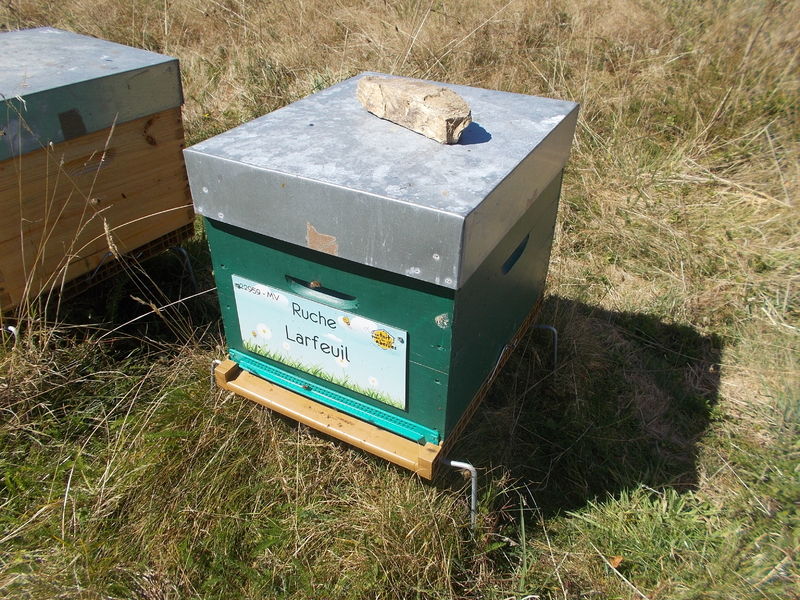 La ruche Larfeuil