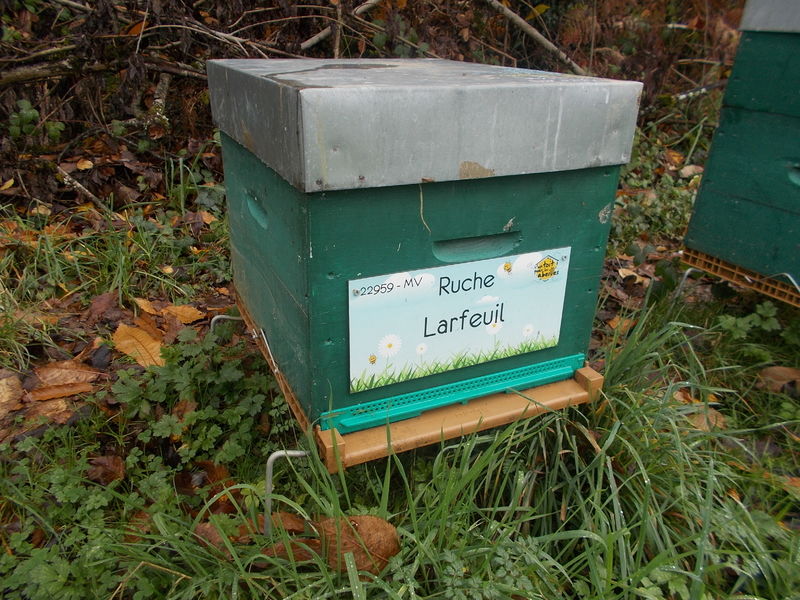 La ruche Larfeuil