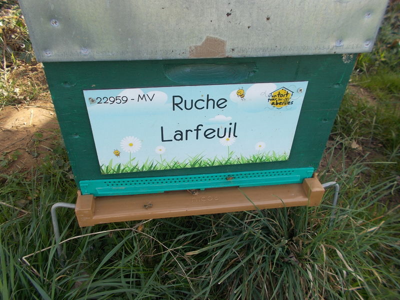 La ruche Larfeuil