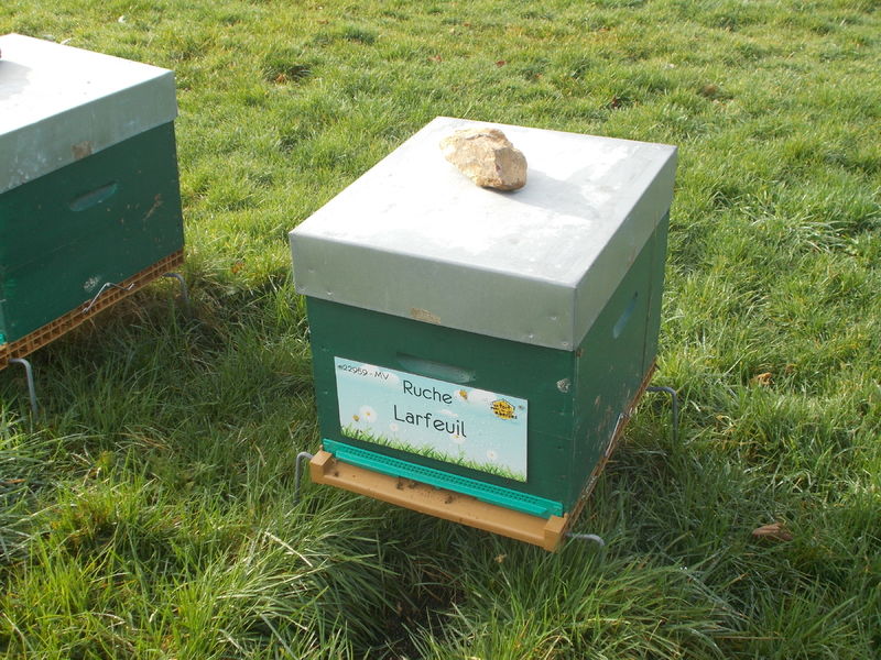 La ruche Larfeuil