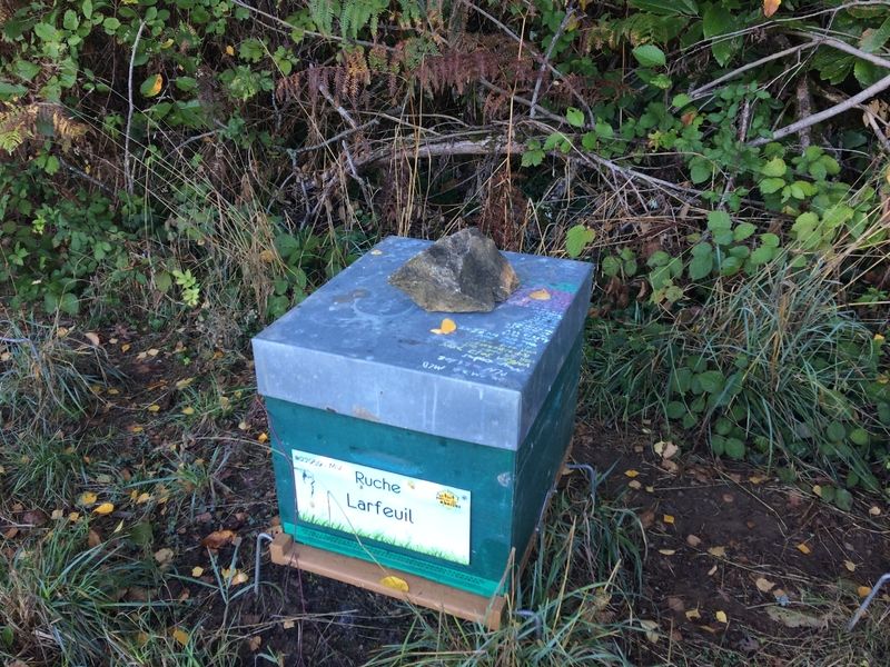 La ruche Larfeuil