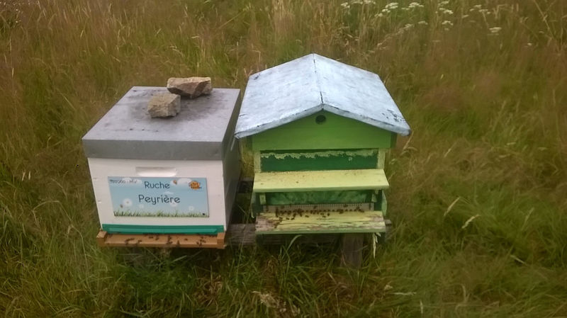 La ruche Peyrière