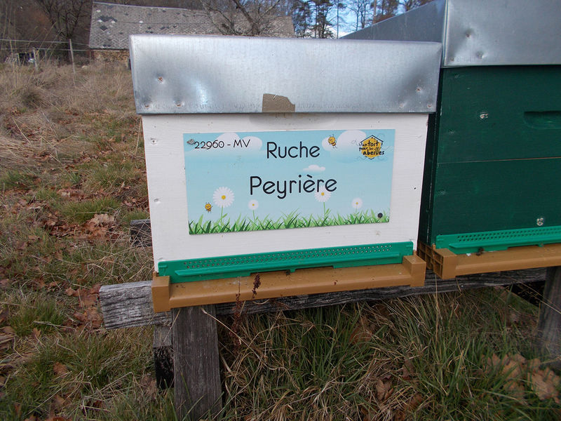 La ruche Peyrière