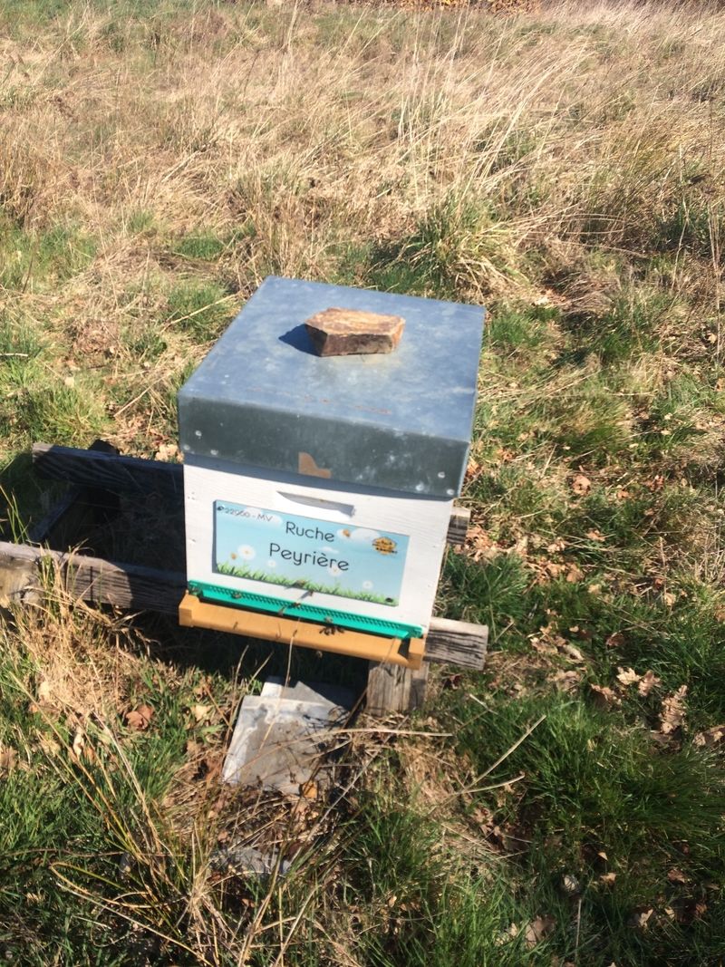 La ruche Peyrière