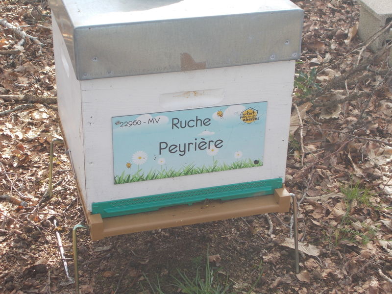 La ruche Peyrière