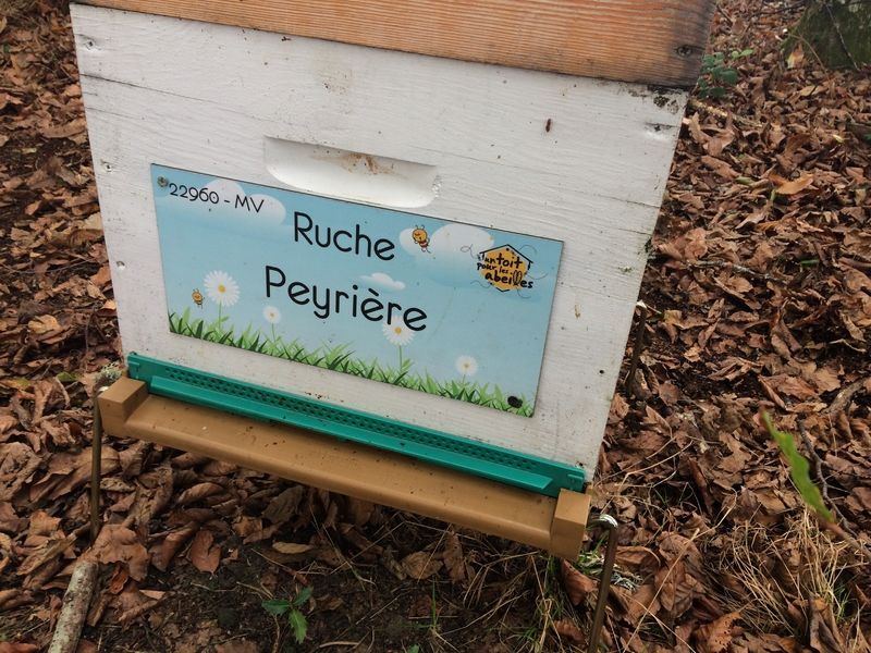 La ruche Peyrière
