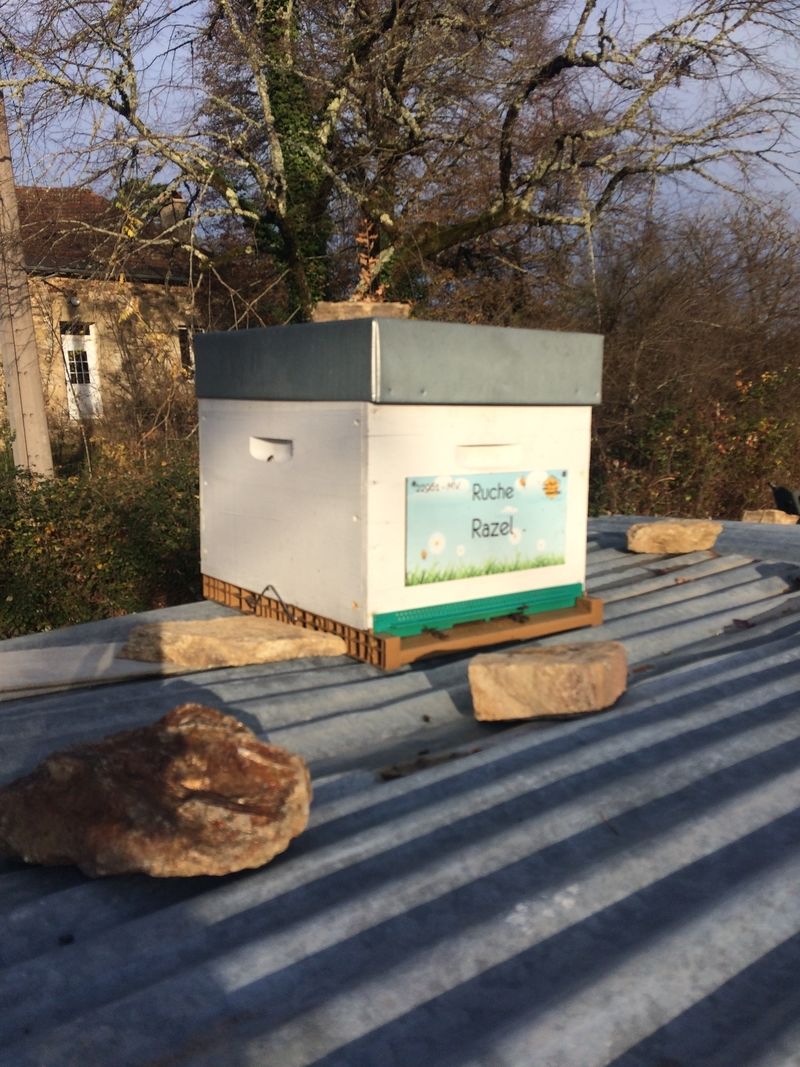 La ruche Razel