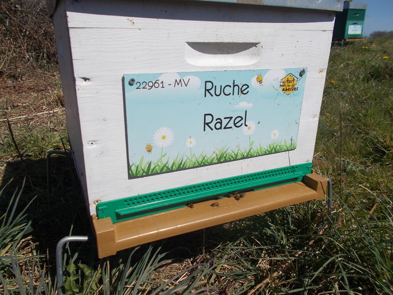 La ruche