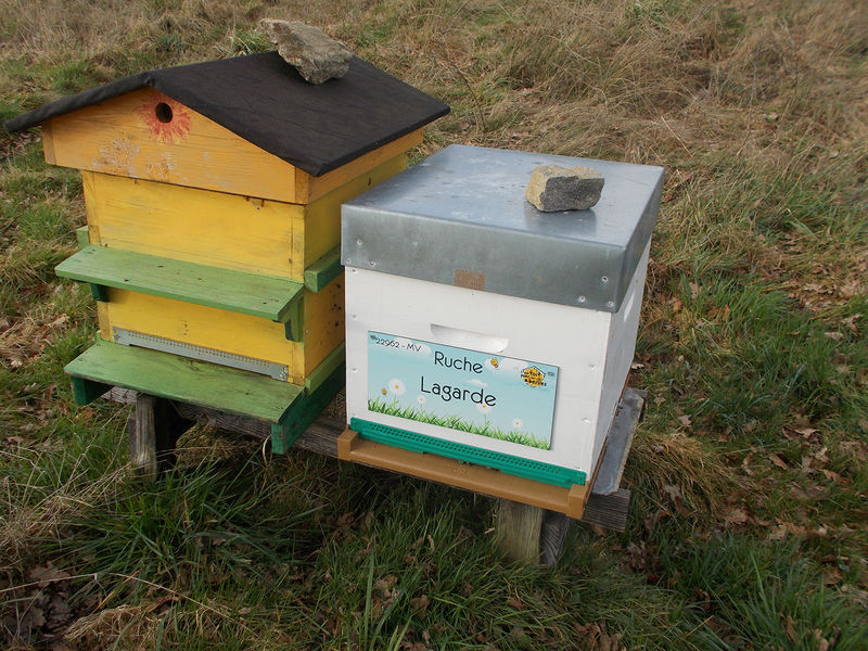 La ruche Lagarde