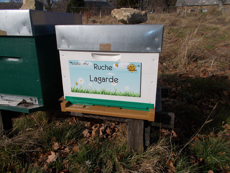 La ruche Lagarde