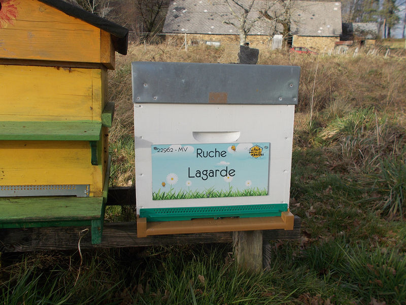 La ruche Lagarde