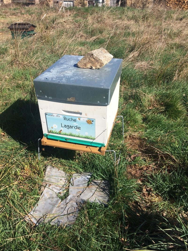 La ruche Lagarde