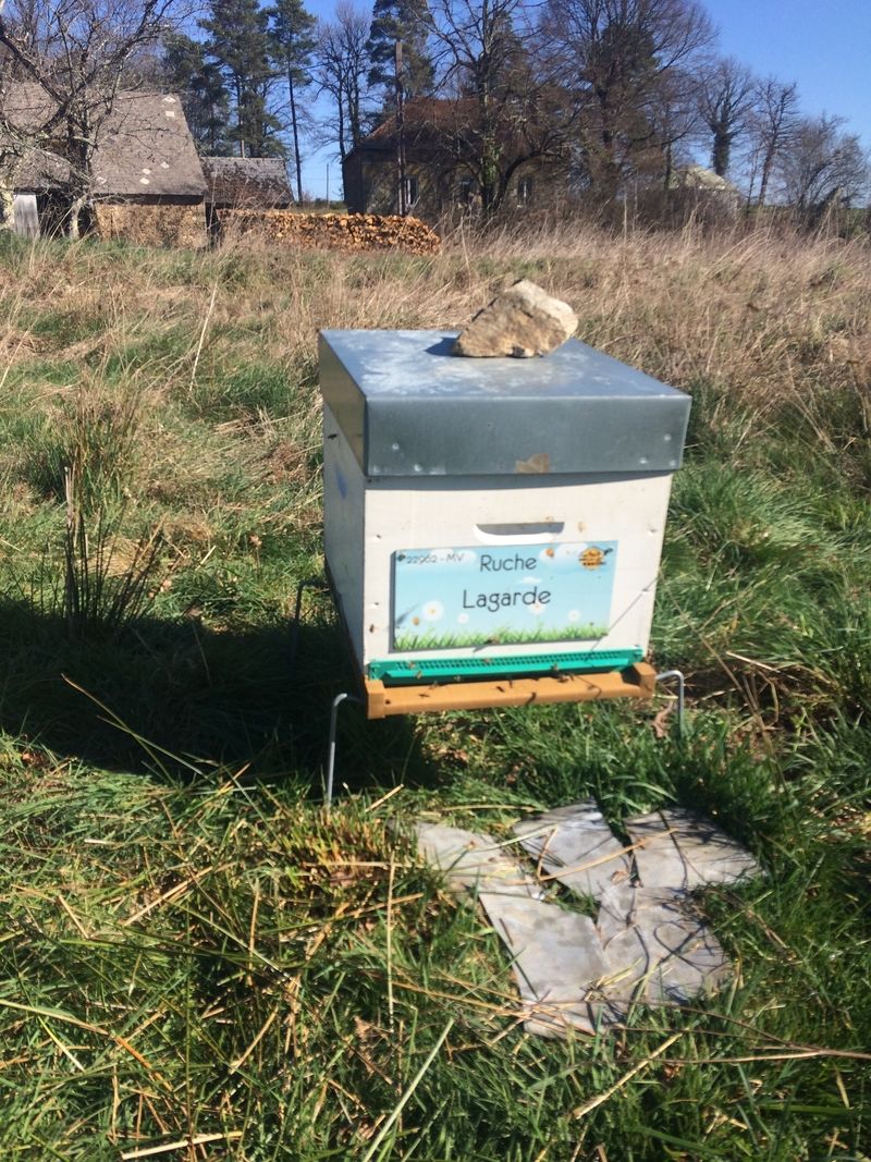 La ruche Lagarde