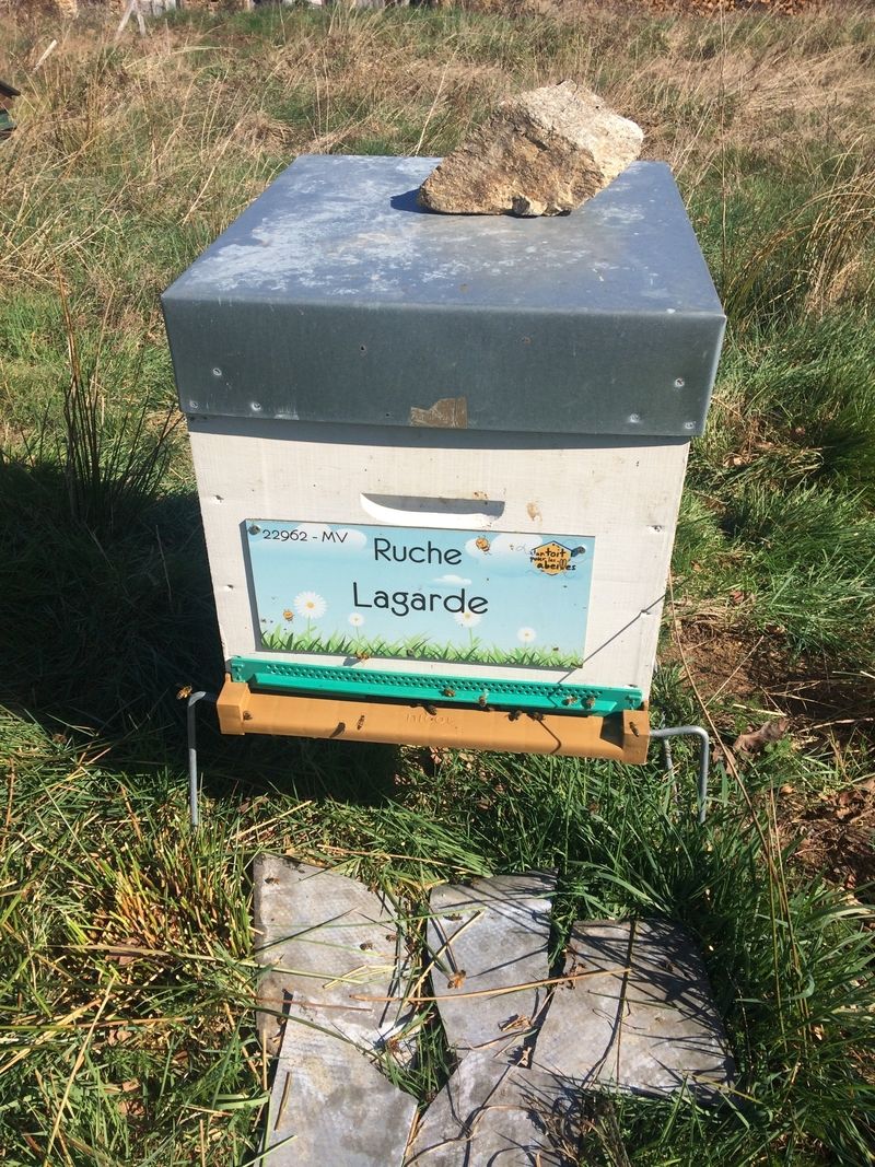 La ruche Lagarde
