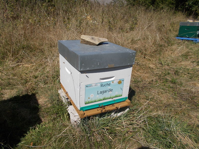 La ruche Lagarde