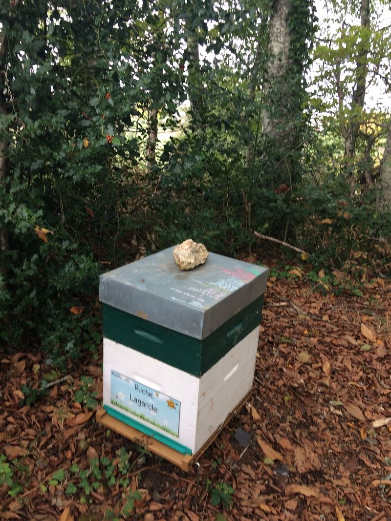 La ruche Lagarde