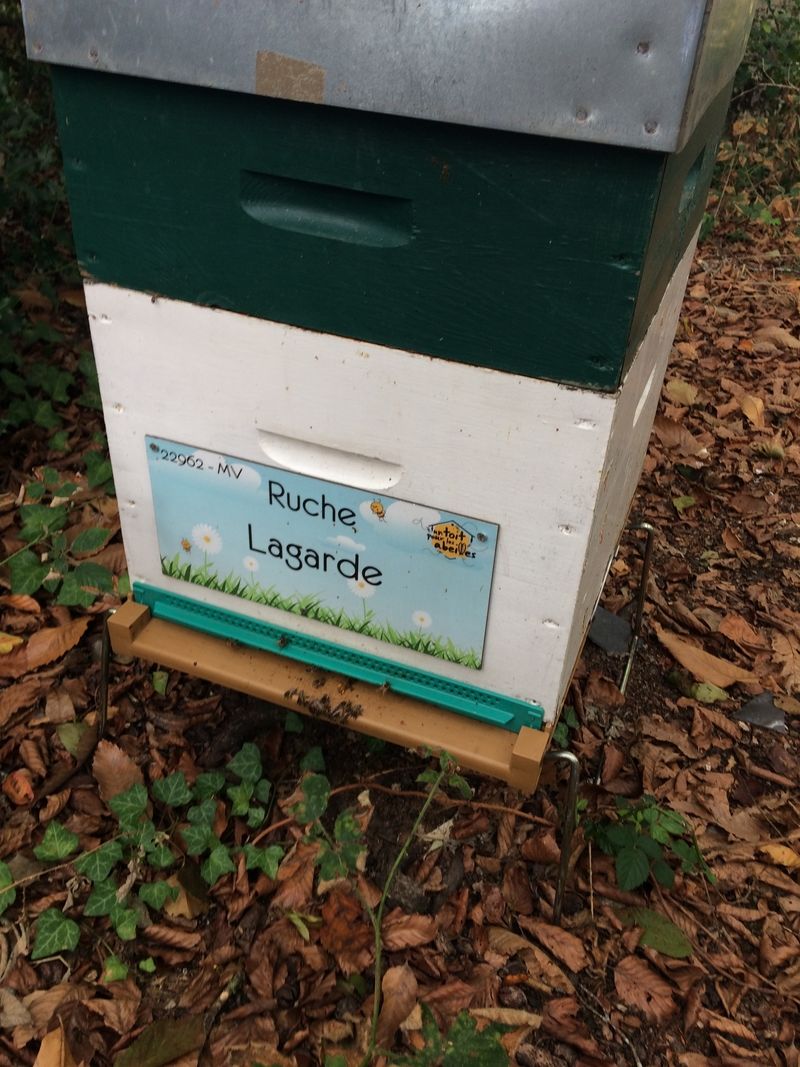 La ruche Lagarde