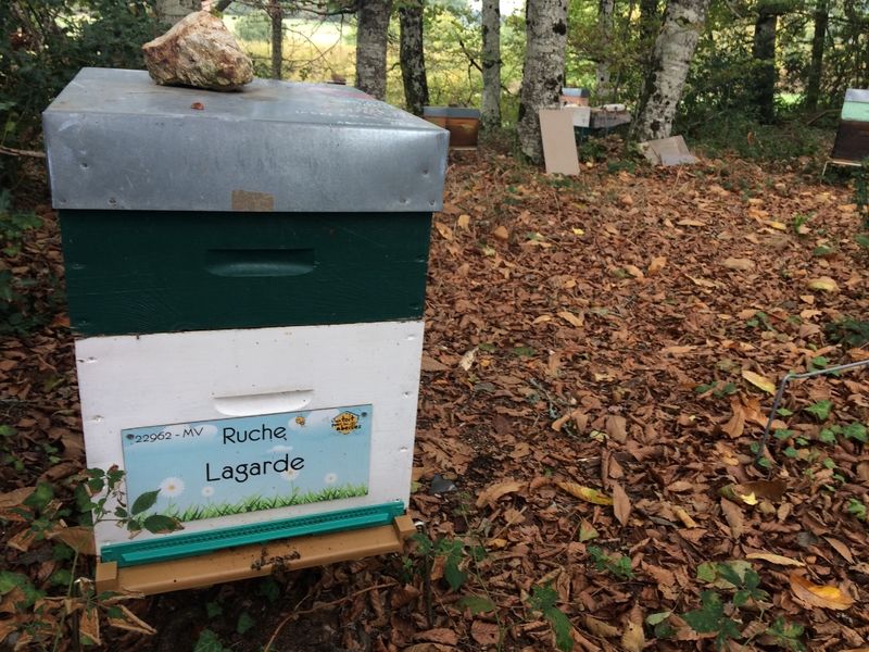 La ruche Lagarde