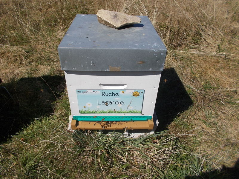 La ruche Lagarde