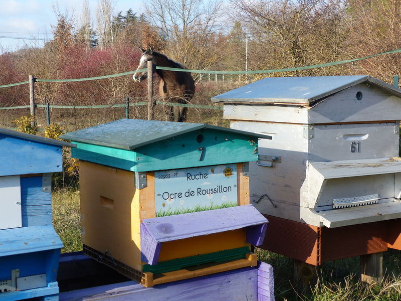 La ruche Ocre de Roussillon