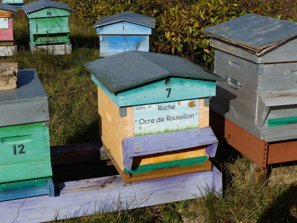 La ruche Ocre de Roussillon