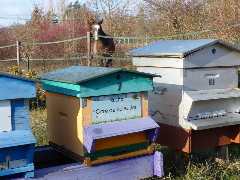 La ruche Ocre de Roussillon