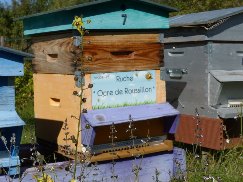 La ruche Ocre de Roussillon
