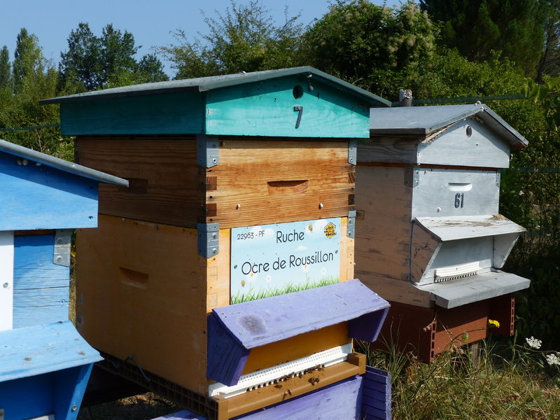 La ruche Ocre de Roussillon
